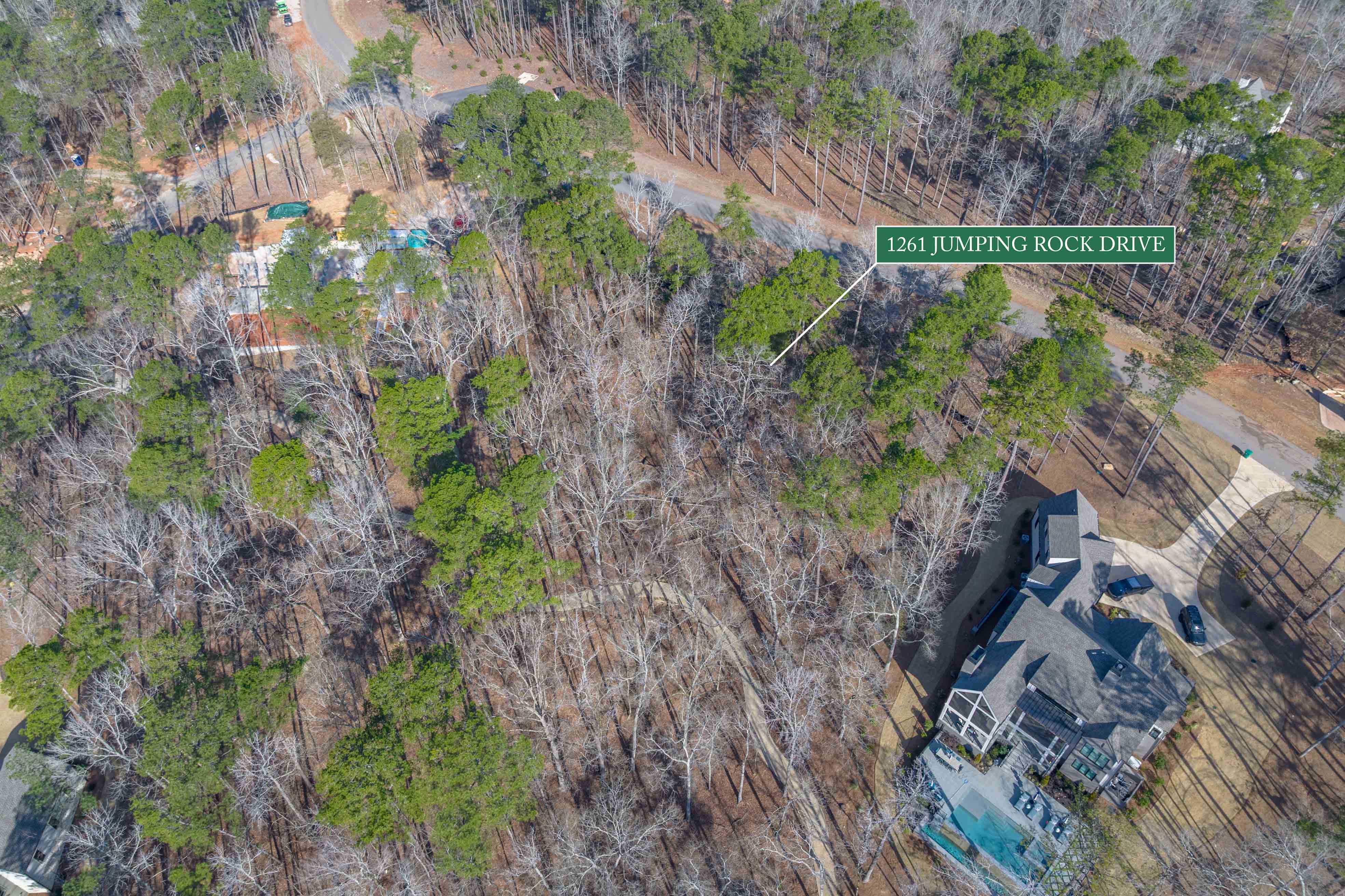 1261 Jumping Rock Drive image 19